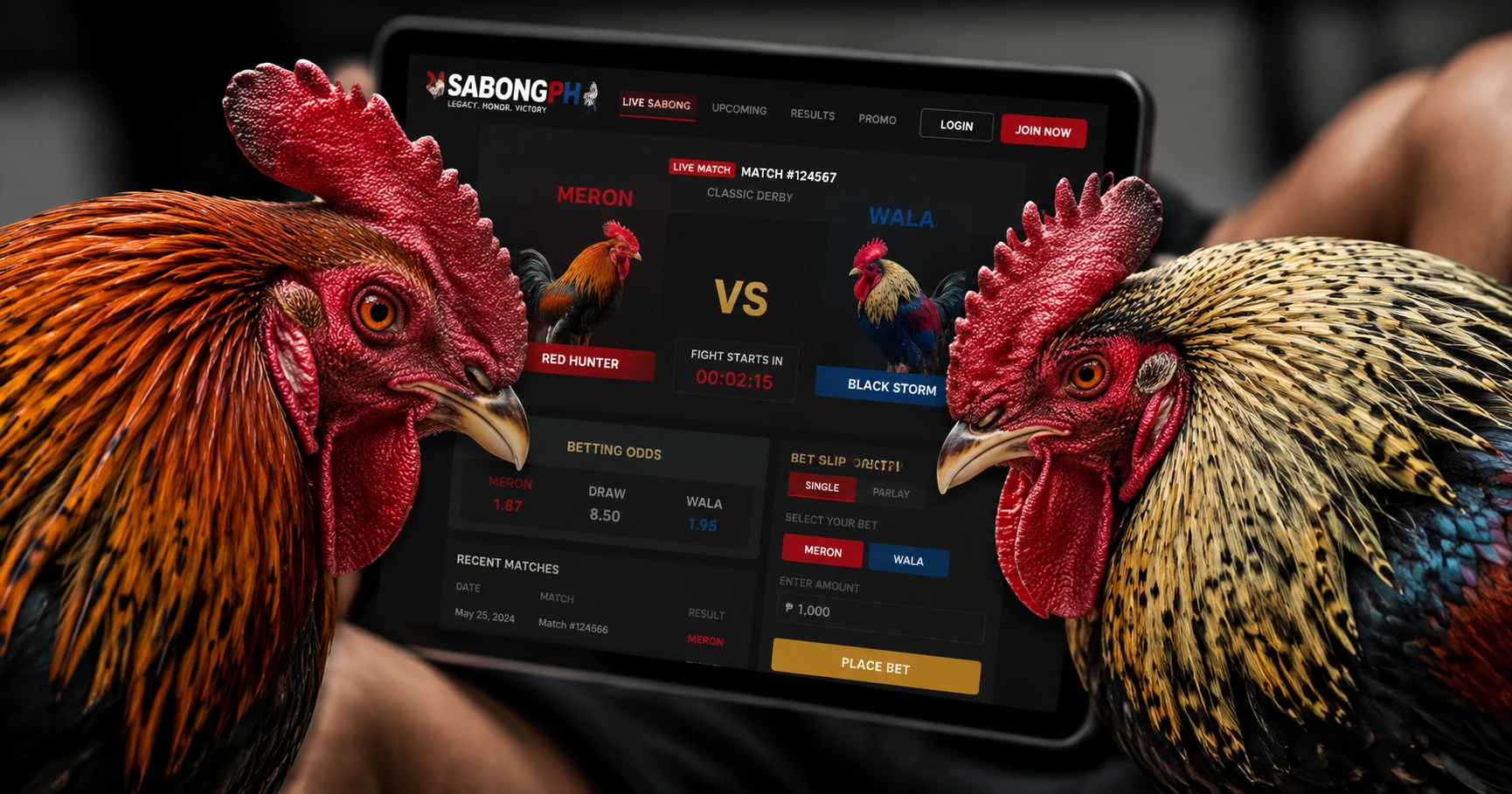 Exploring the Thrills of Royal888 Sabong and Its Popularity in Filipino Sports Culture - image 2